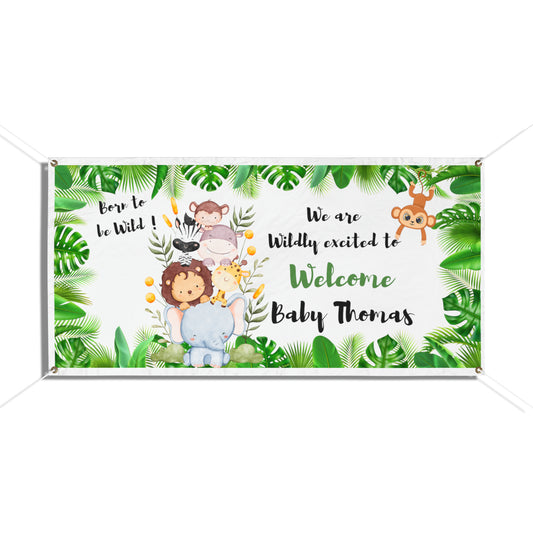 Welcome Baby Thomas Banner 2